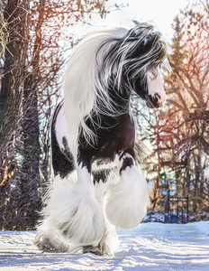 Be Brave Enough To Dream