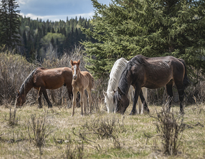 A Piece of Something Bigger