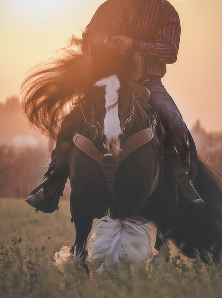 Beauty In Motion Print