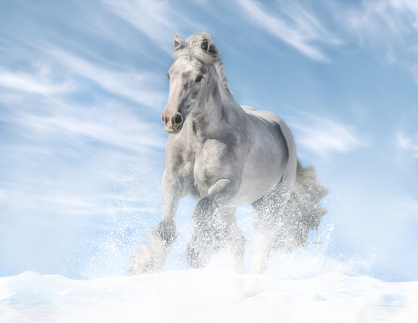 Joy in the Sky Print