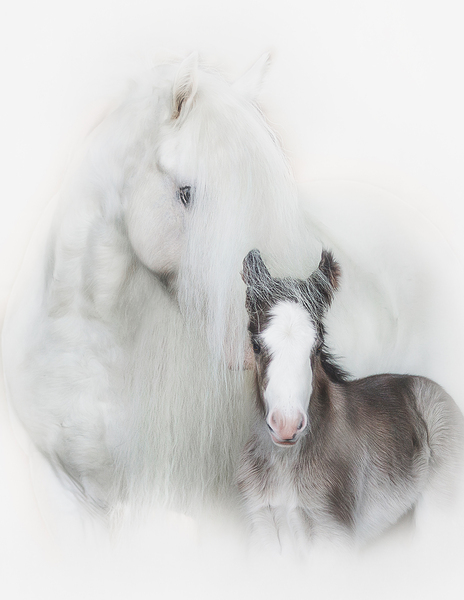 A Mother s Love IIII Print