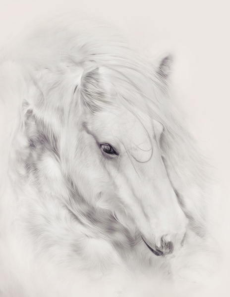 Fairytale Dreams Print