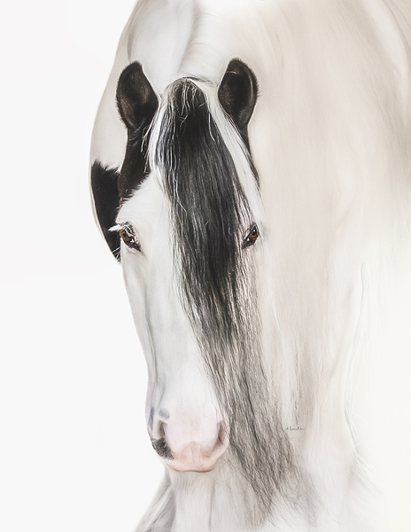 Defined Elegance Print