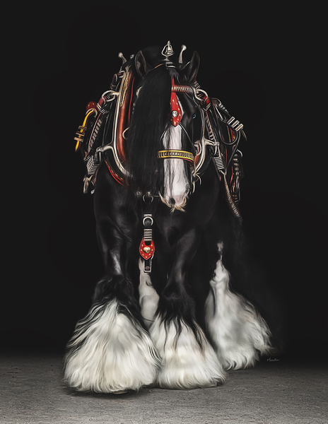 Dressed for Success Print