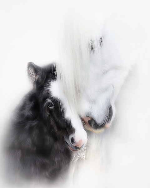  A Mother s Love II Print