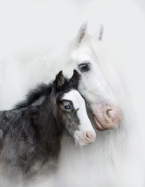  A Mother s Love III Print