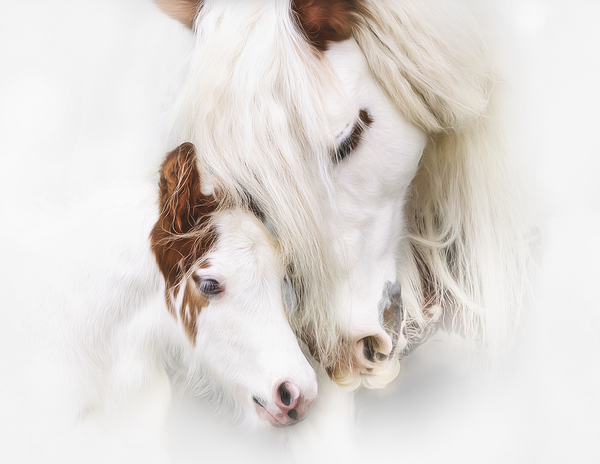 A Mother s Love Print