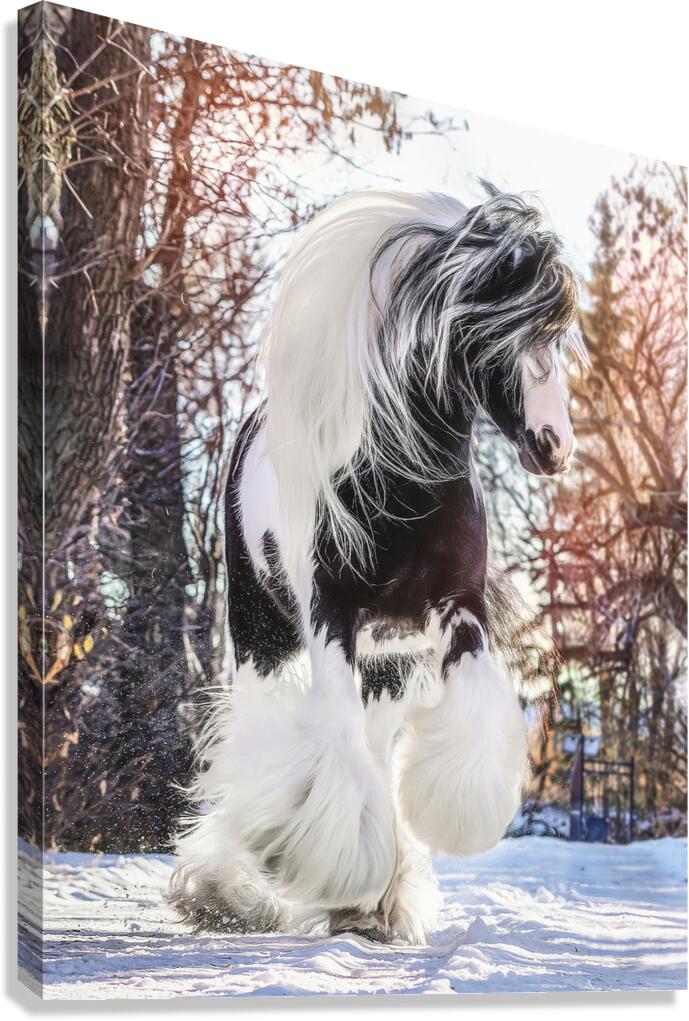 Be Brave Enough To Dream Canvas Print