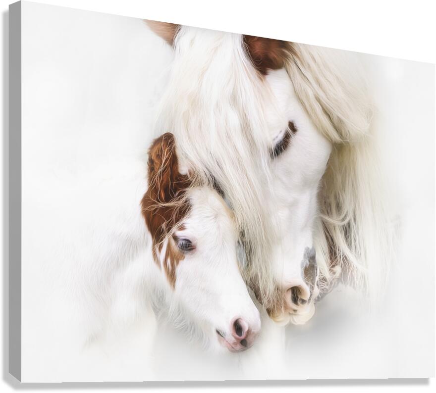 A Mother s Love Canvas Print