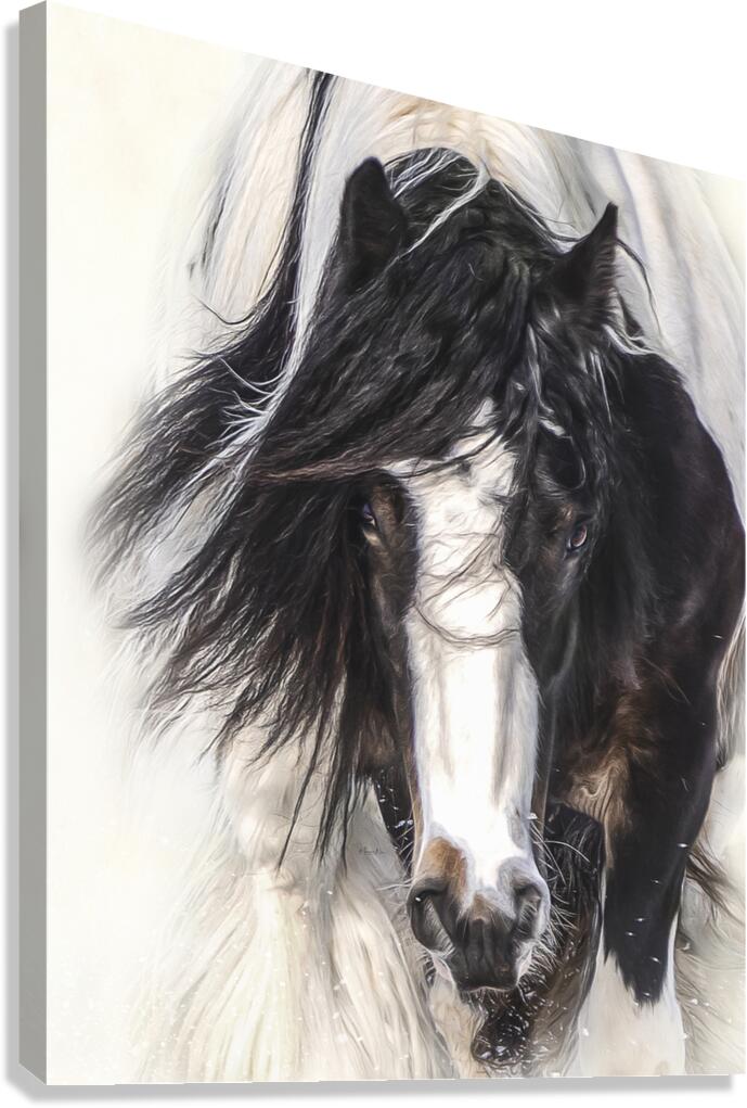 Blind Trust Canvas Print