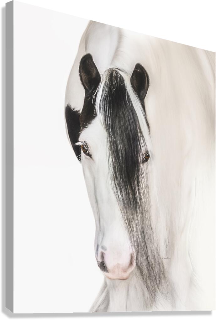 Defined Elegance Canvas Print