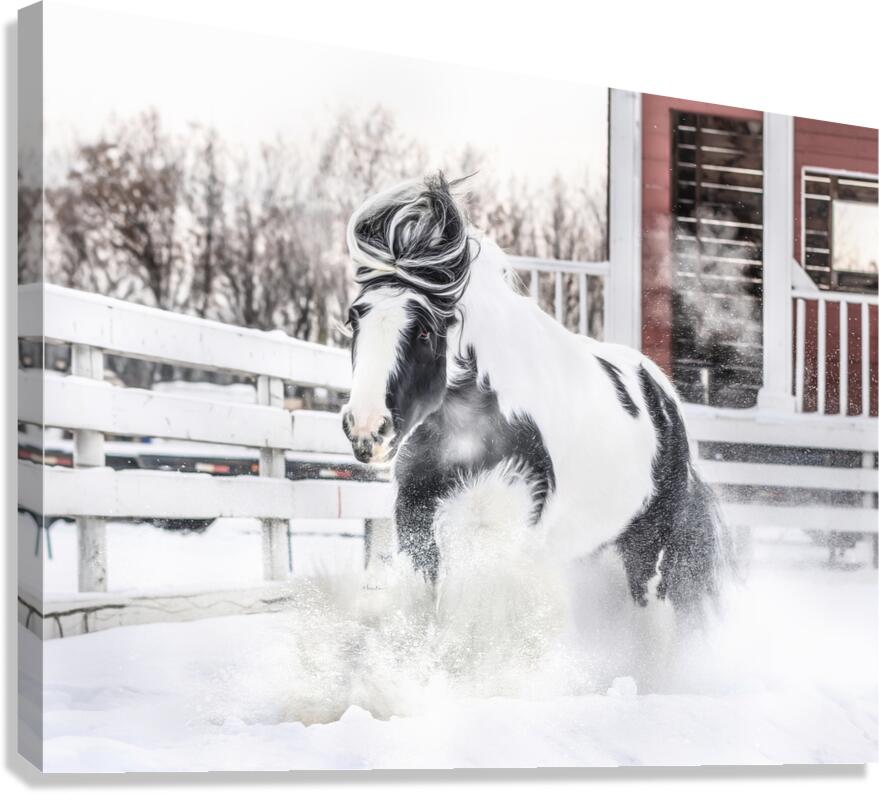 Breathe of Winter Canvas Print