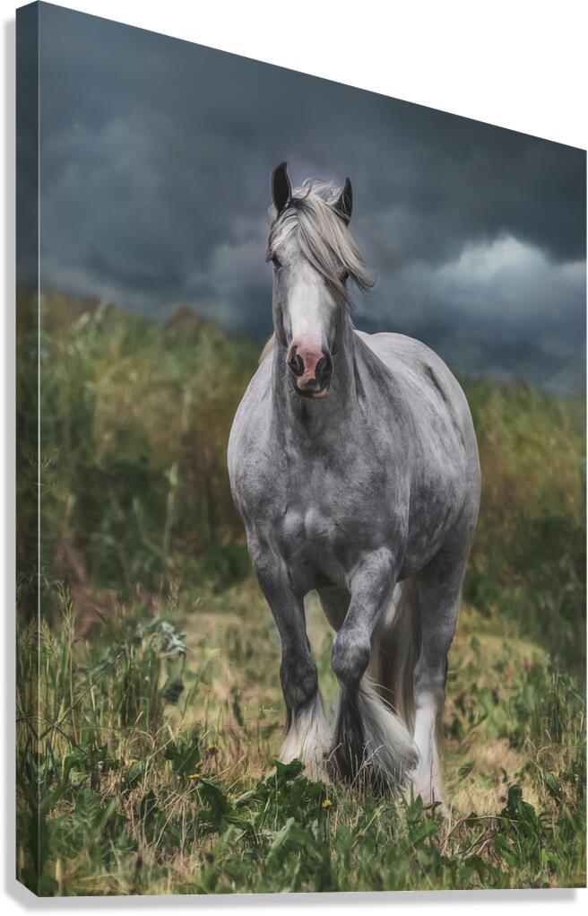 Dont stop Canvas Print