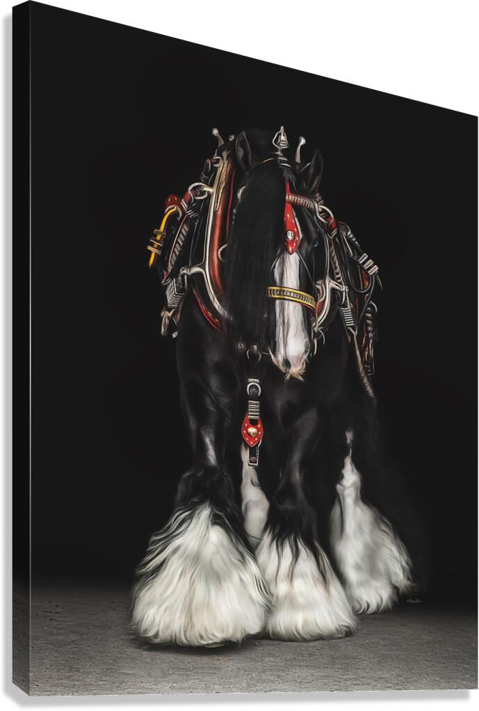 Dressed for Success Canvas Print