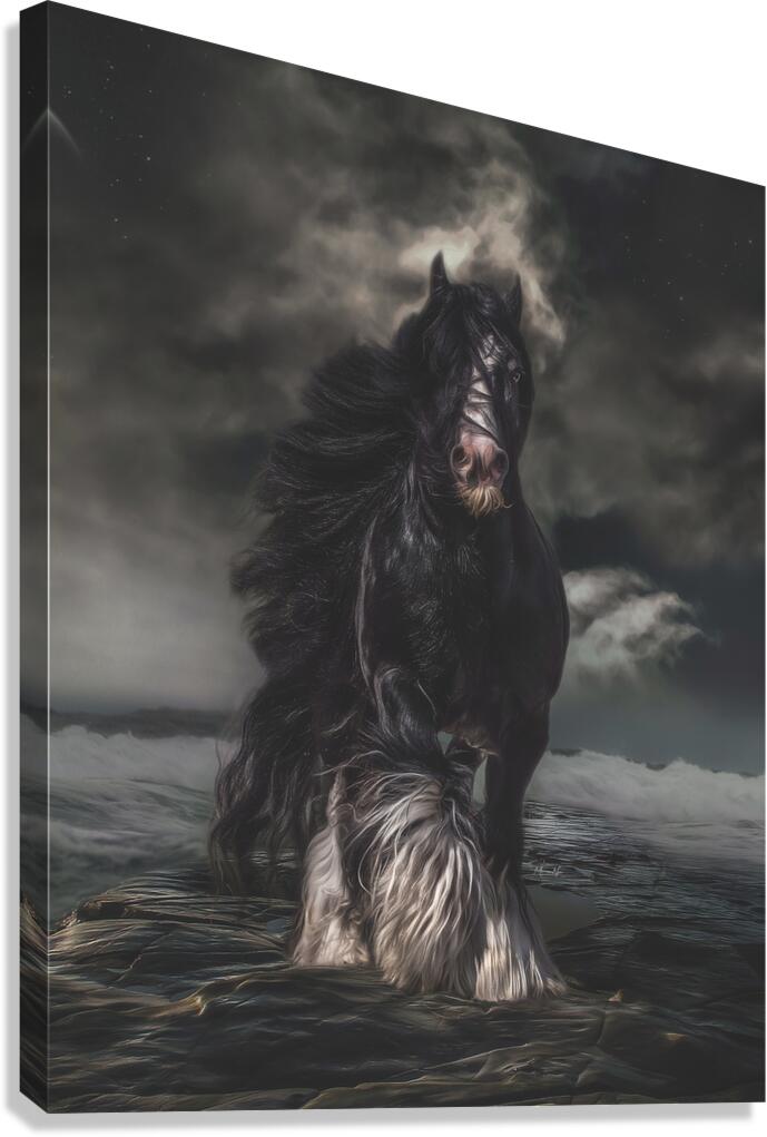 Through The Storm Canvas Print