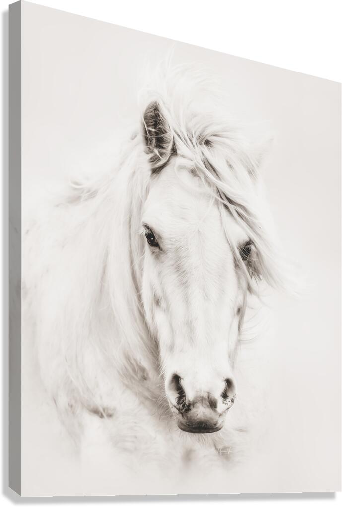 Soulful Canvas Print