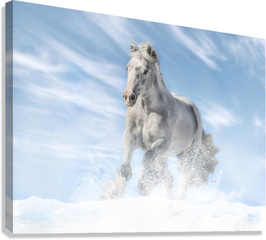 Joy in the Sky Canvas Print