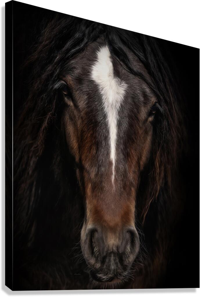 Embers in the Dark Canvas Print