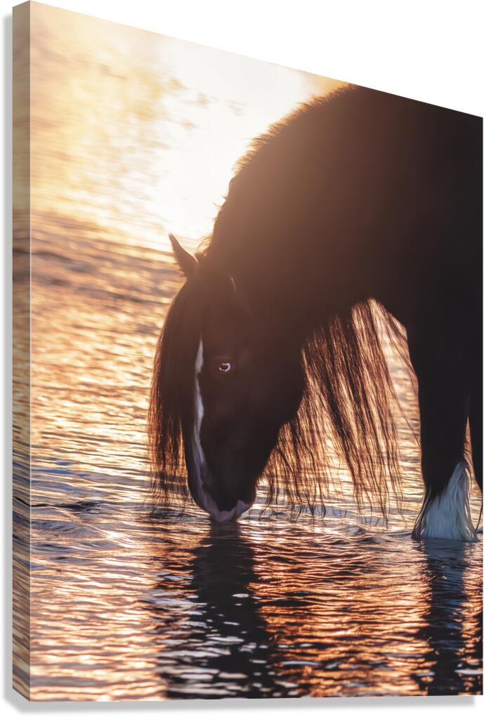 Quiet Reflection Canvas Print