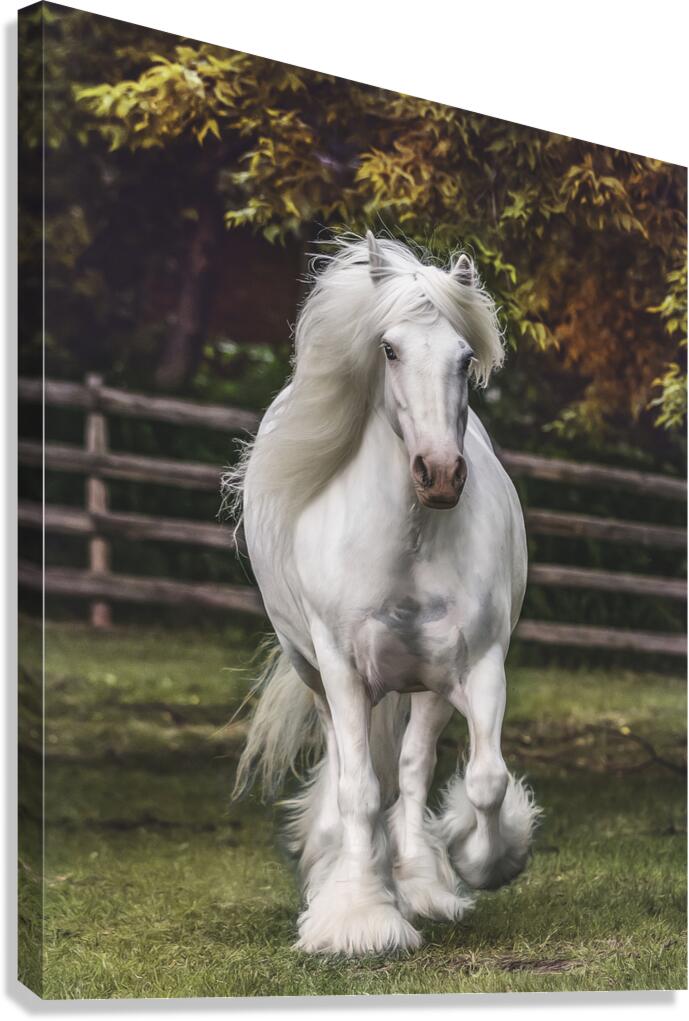 The Heart Knows Canvas Print