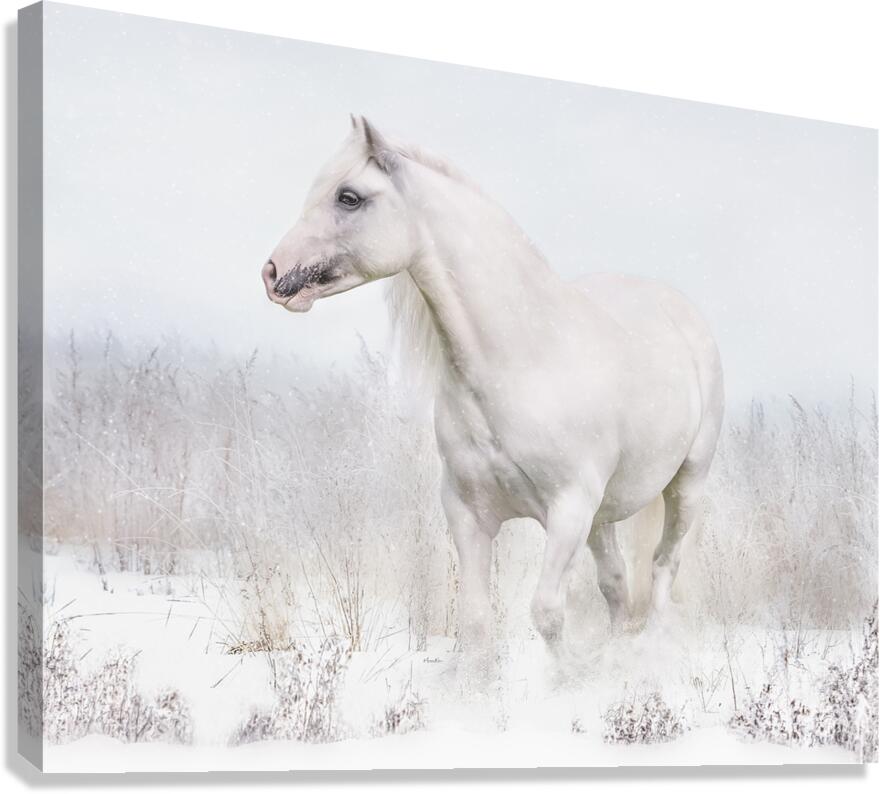 Winters Whisper Canvas Print