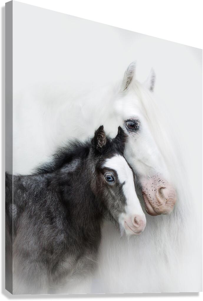  A Mother s Love III Canvas Print