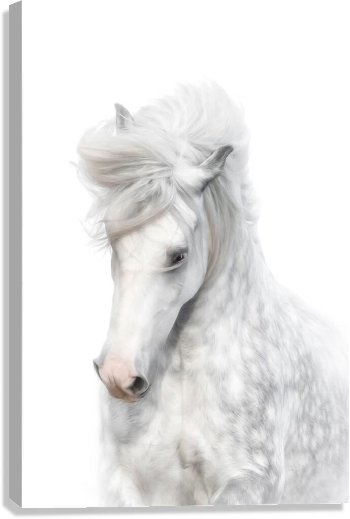  A Touch of Grace Canvas Print