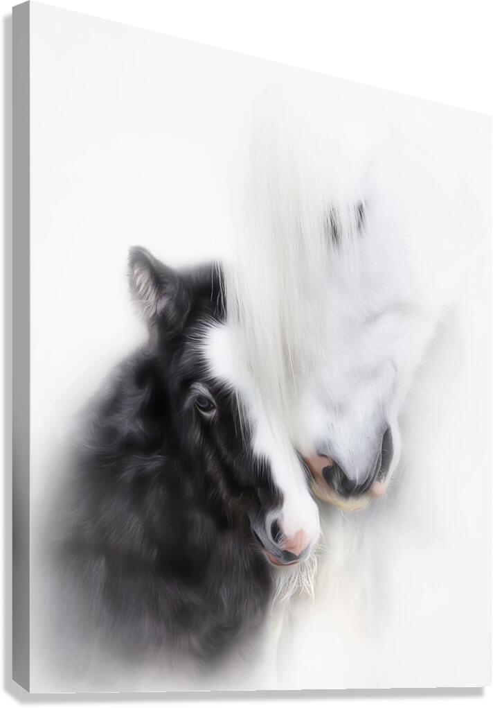  A Mother s Love II Canvas Print