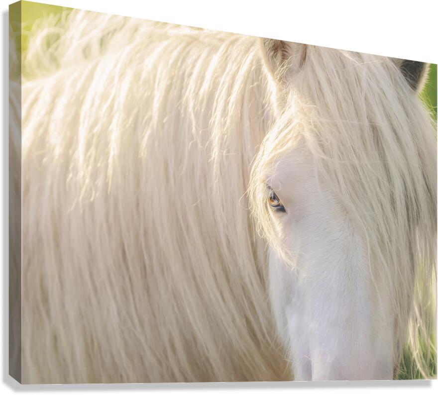 A Moment In Time Canvas Print