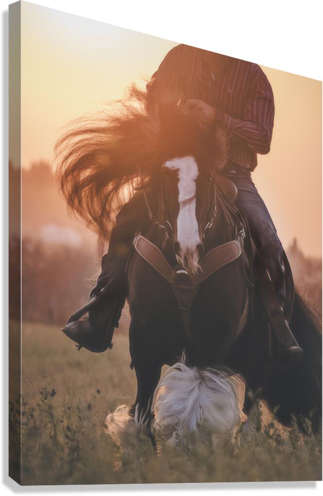 Beauty In Motion Canvas Print