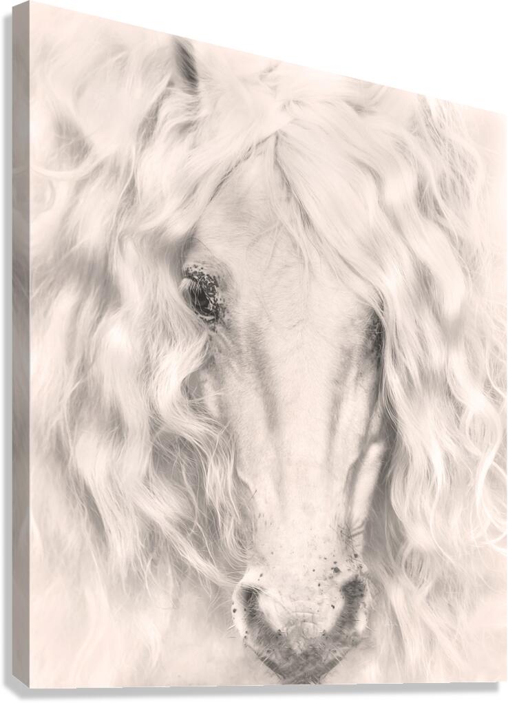 Dear Anna Canvas Print