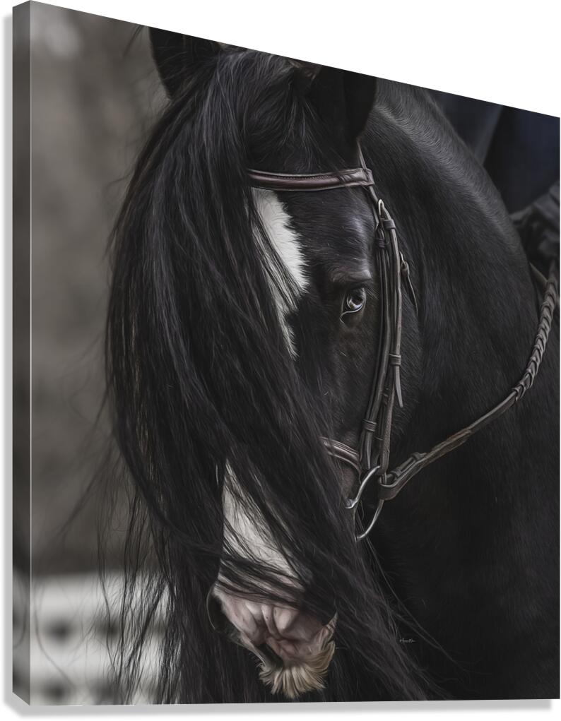 Discipline Canvas Print