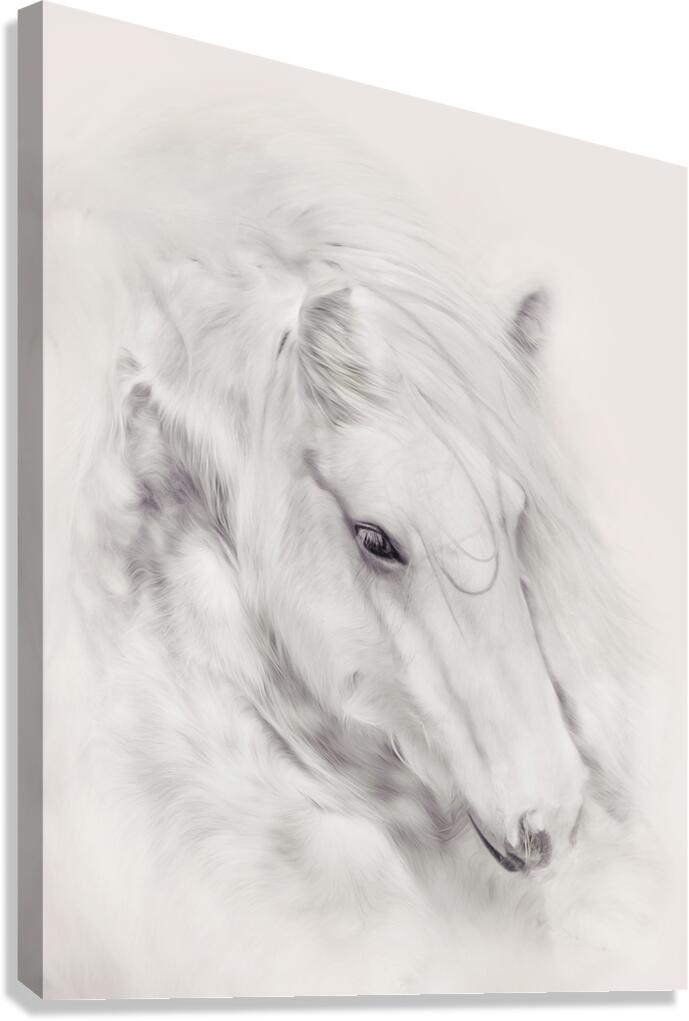 Fairytale Dreams Canvas Print