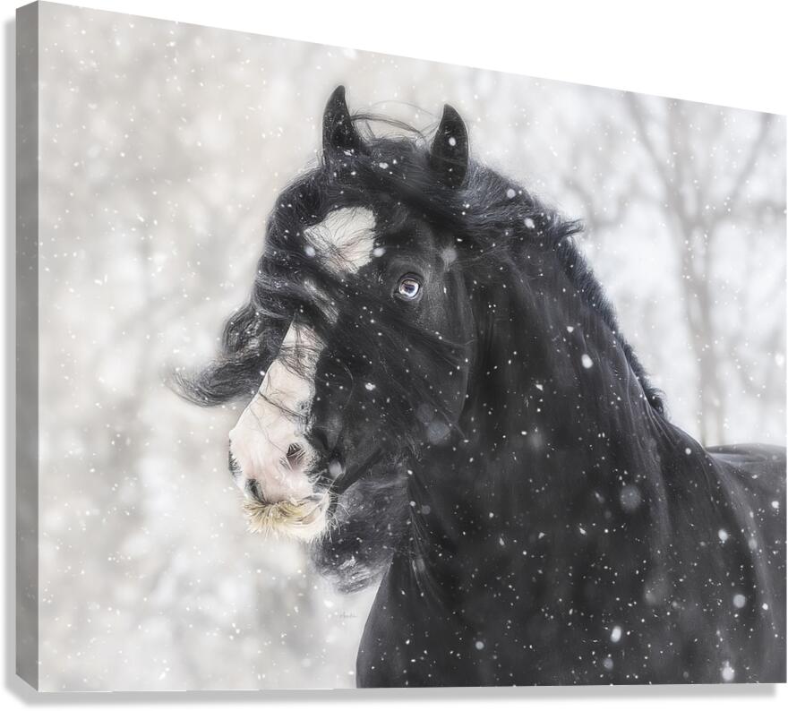 Snowstorm Canvas Print