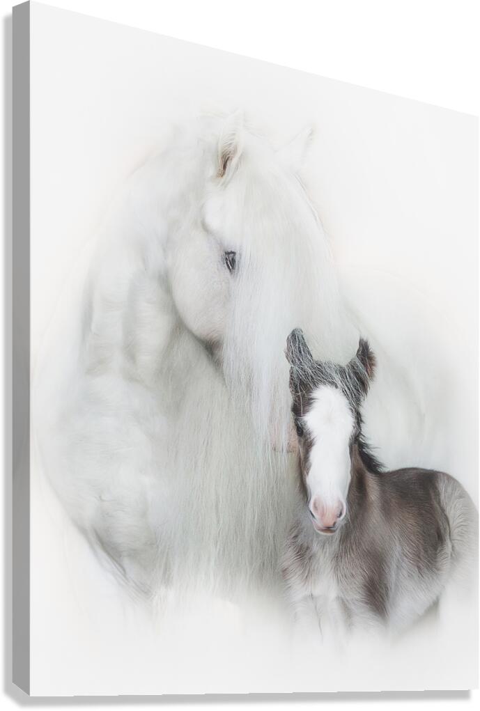 A Mother s Love IIII Canvas Print