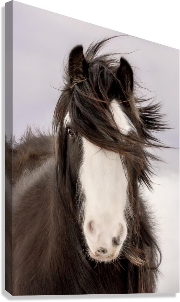 Unveiled Canvas Print