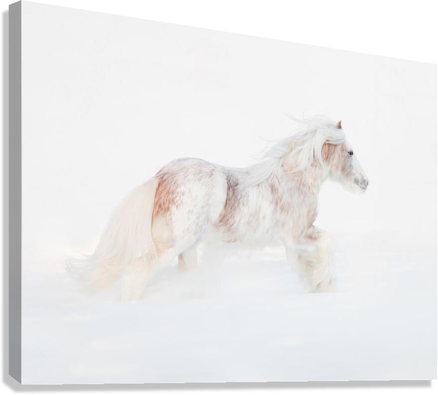 Ivory Passage Canvas Print