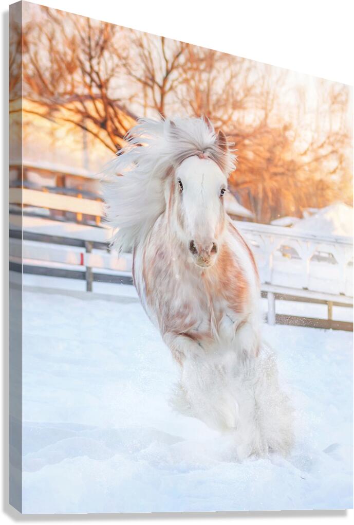 Throught the Silence Canvas Print