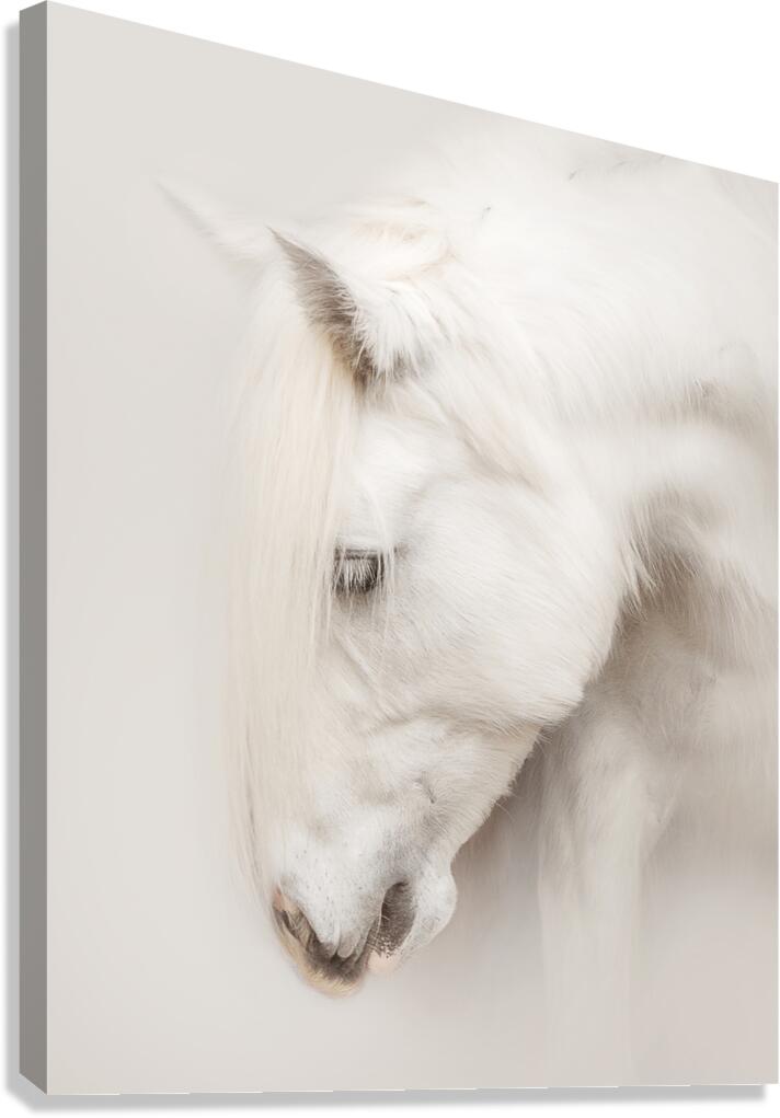 QuietGrace Canvas Print