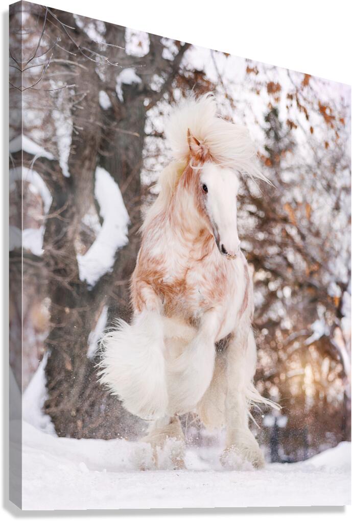 WinterLight Canvas Print