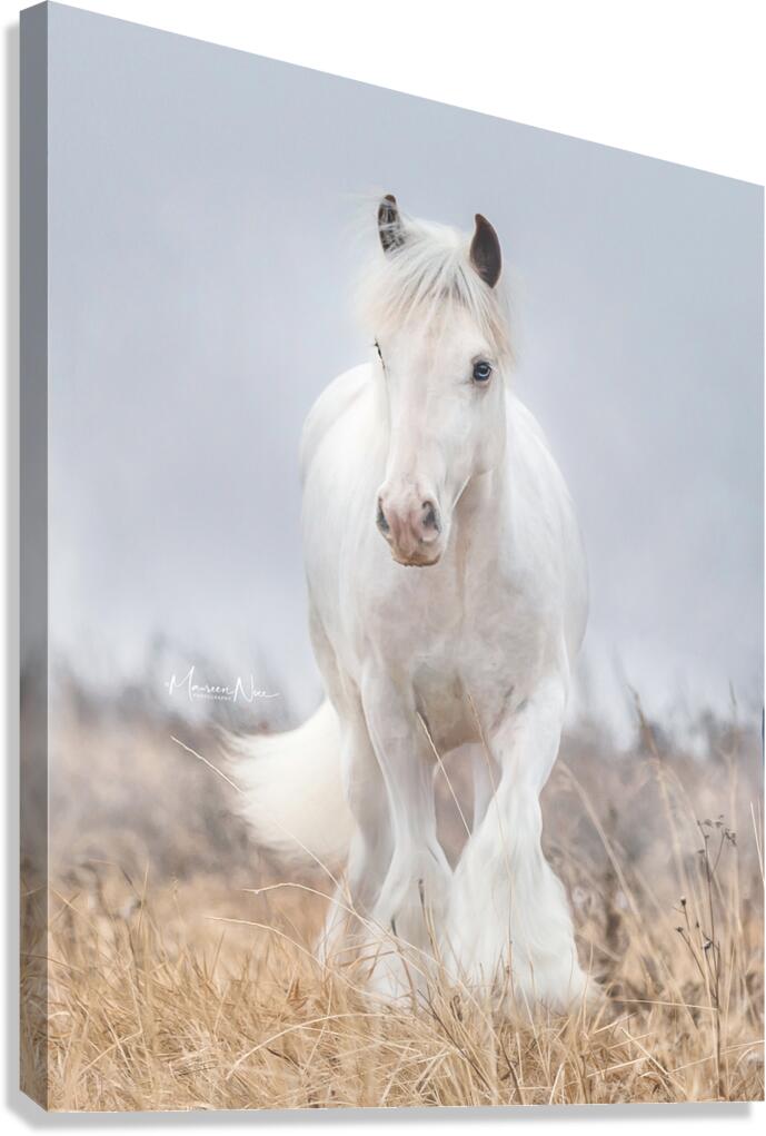 Dreamwalker Canvas Print