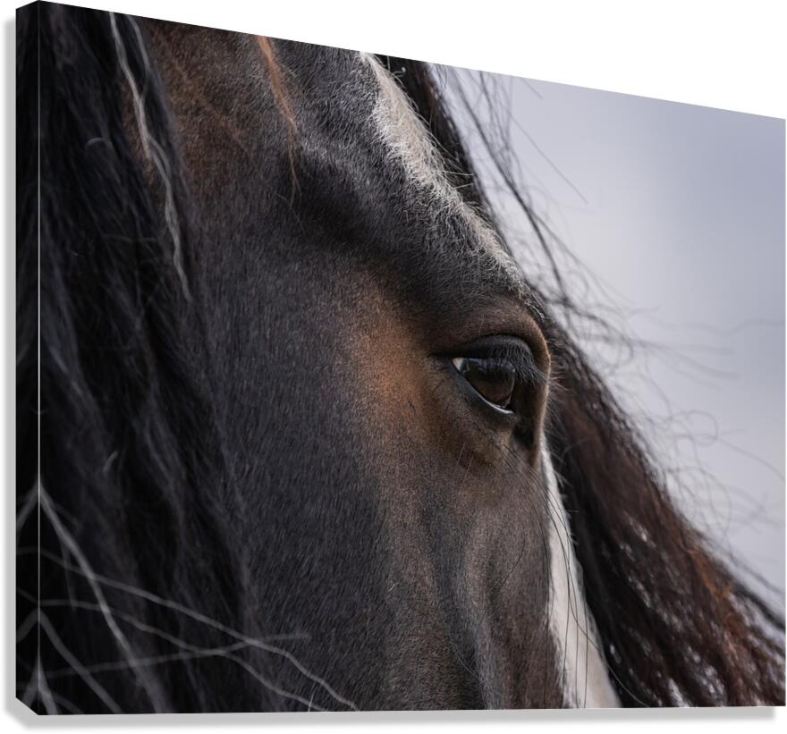 Unspoken Canvas Print