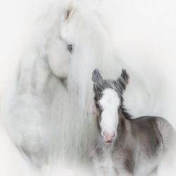 A Mother s Love IIII