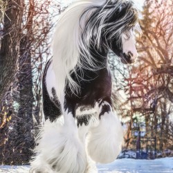 Be Brave Enough To Dream