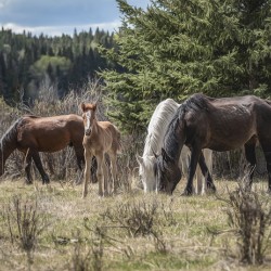 A Piece of Something Bigger