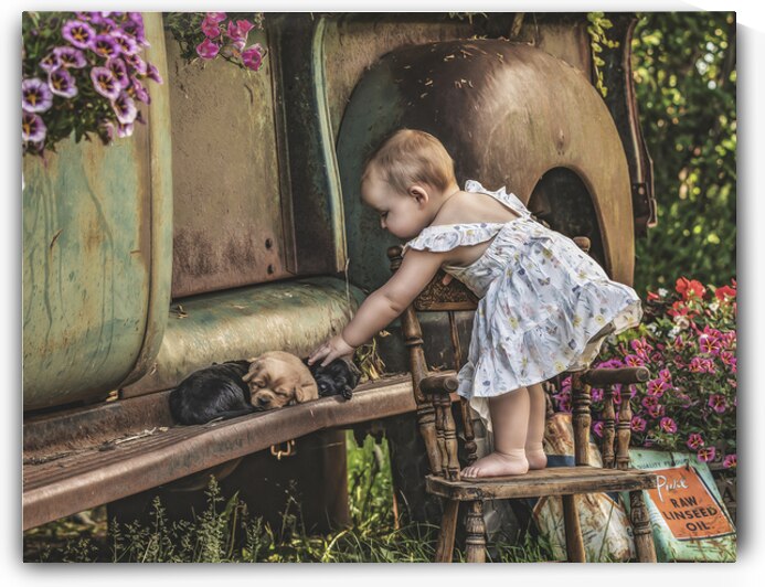 A Childs Touch by Maureen Noce Photography