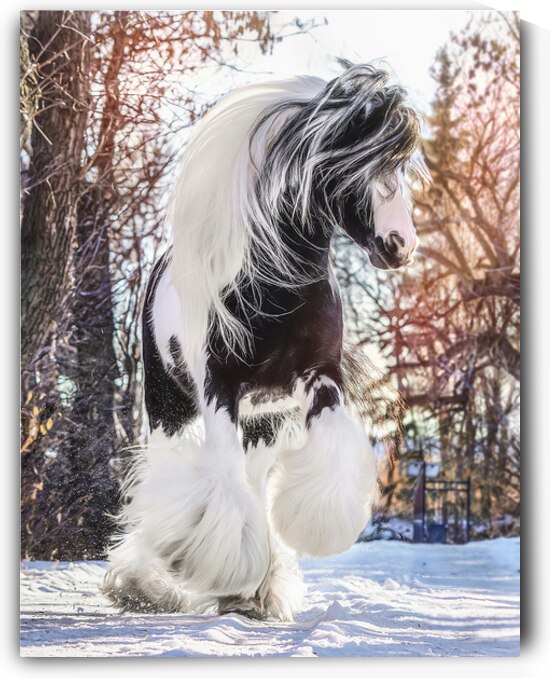 Be Brave Enough To Dream by Maureen Noce Photography