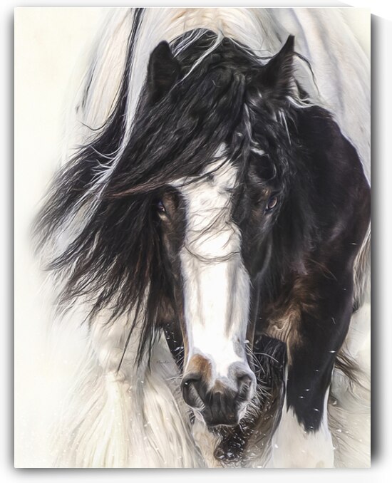 Blind Trust by Maureen Noce Photography