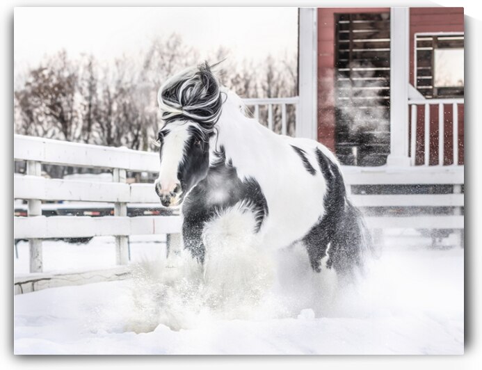 Breathe of Winter by Maureen Noce Photography