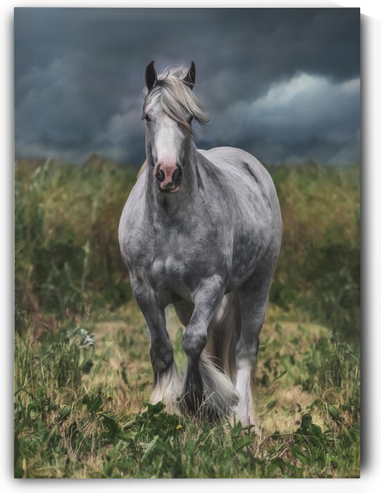 Dont stop by Maureen Noce Photography